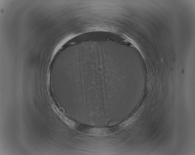 X0000081391179200702020248