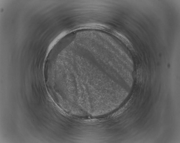 X0000081391180200702020248