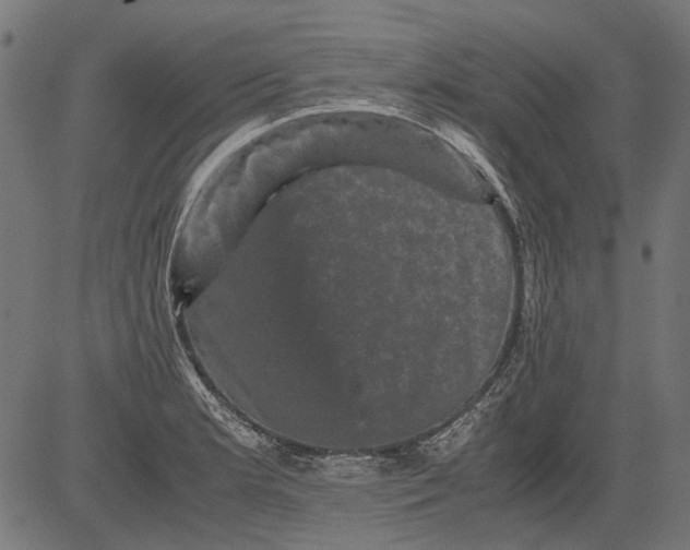 X0000081391181200702020248