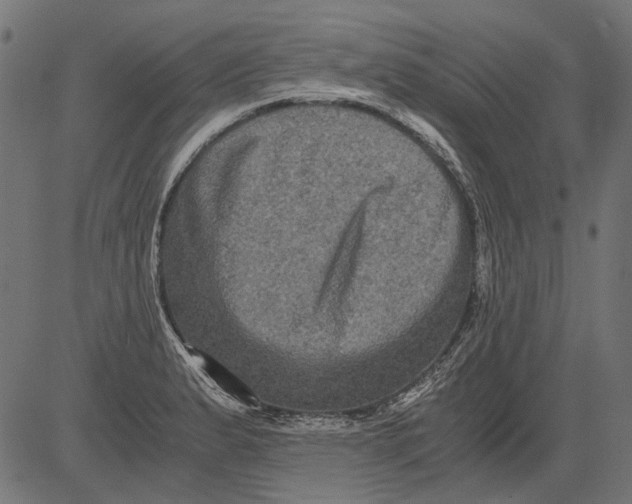 X0000081391183200702020248