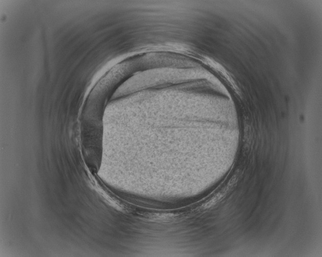 X0000081391184200702020248