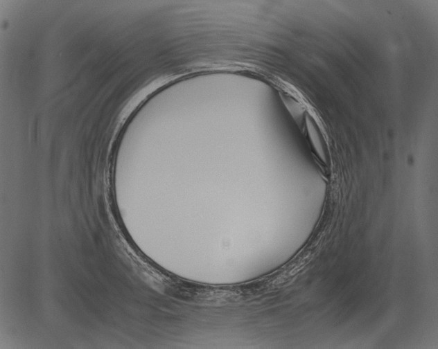 X0000081391187200702020247