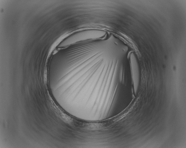 X0000081391188200702020247