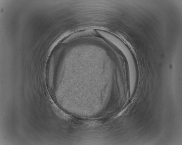 X0000081391189200702020247