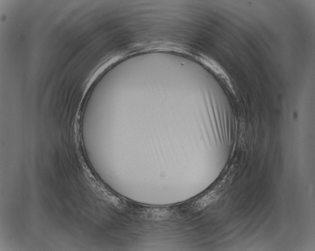 X0000081391190200702020247