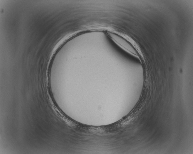 X0000081391191200702020247