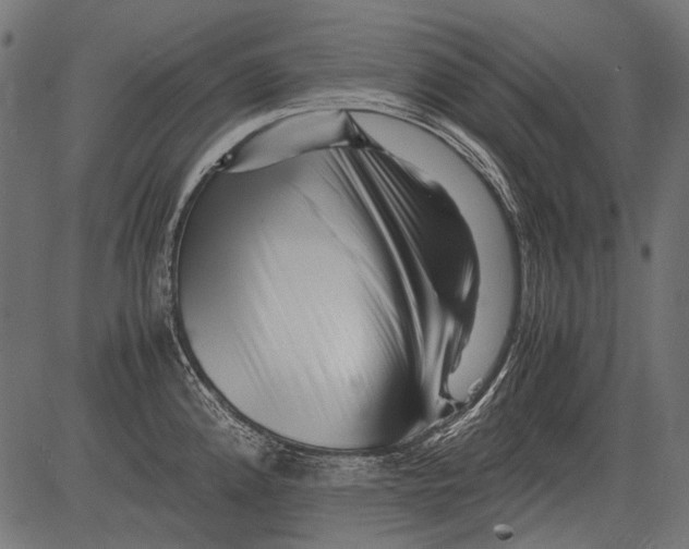 X0000081391192200702020247