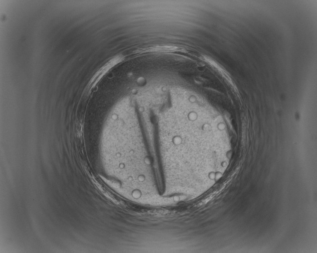 X0000081391193200702020247