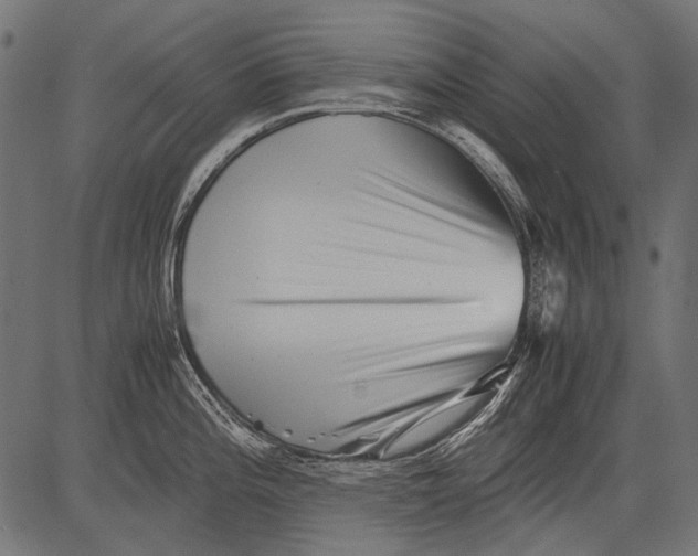 X0000081391196200702020247