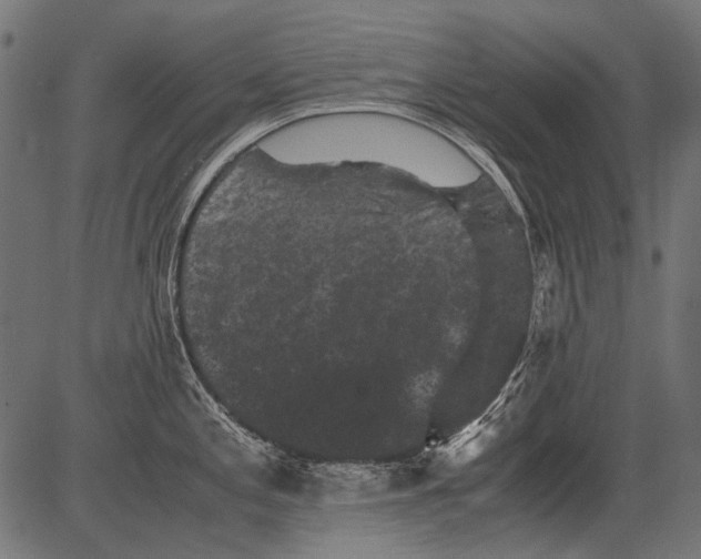 X0000081391197200702020247