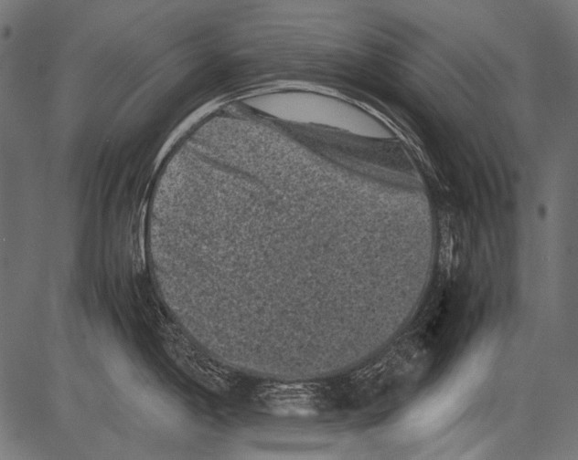 X0000081391198200702020247