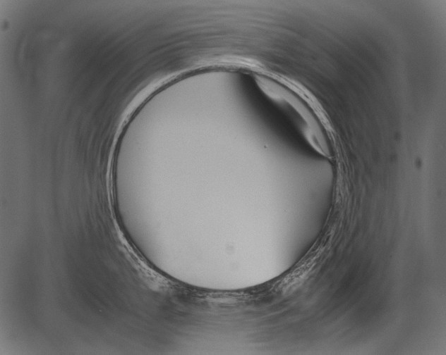 X0000081391199200702020247