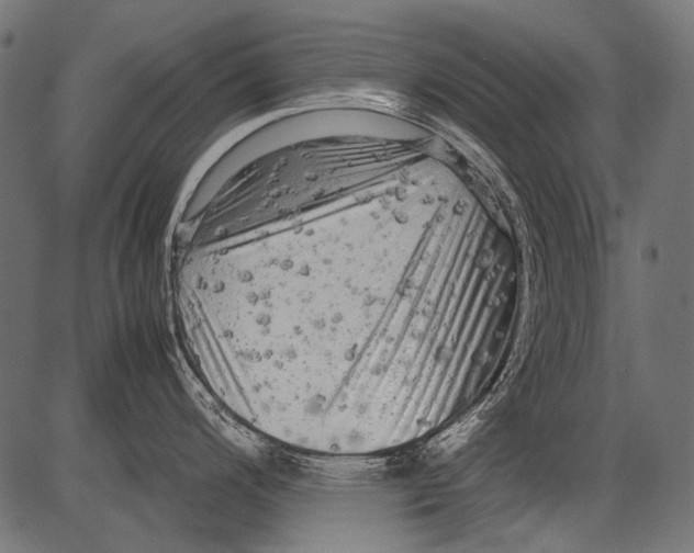 X0000081391200200702020247