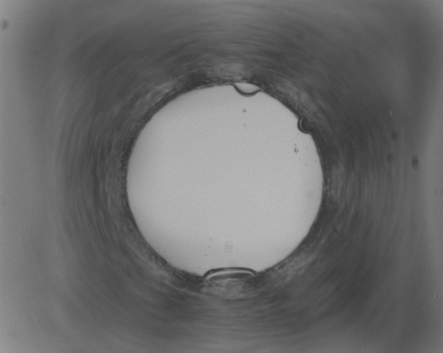 X0000081391201200702020246