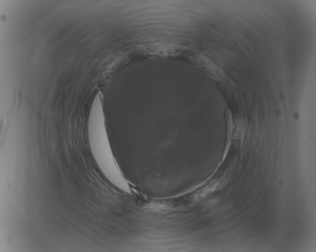 X0000081391202200702020247