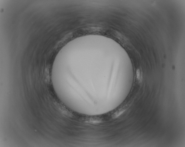 X0000081391203200702020247