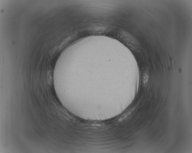 X0000081391204200702020247