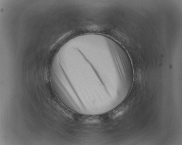 X0000081391205200702020247