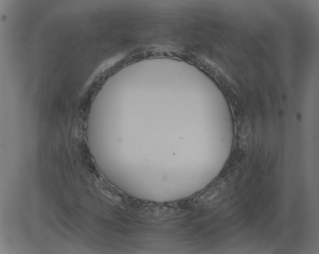 X0000081391207200702020247