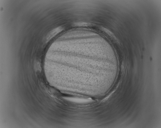 X0000081391209200702020247