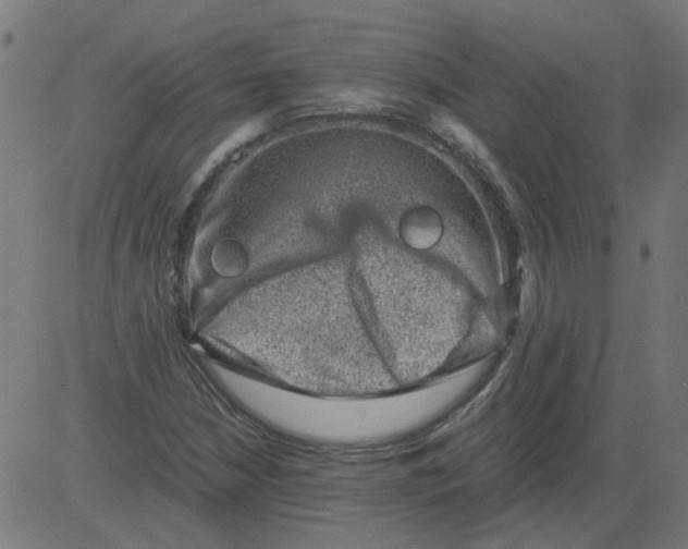 X0000081391210200702020247