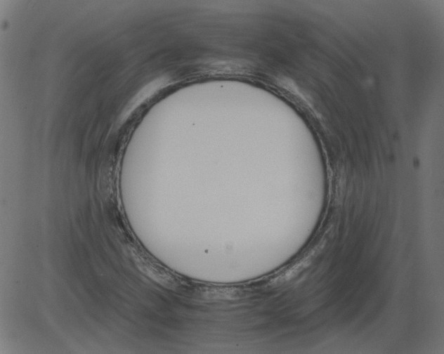 X0000081391211200702020247