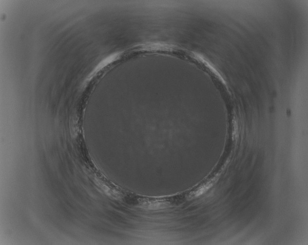 X0000081391213200702020247