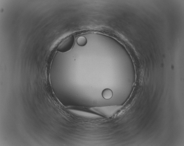 X0000081391214200702020247