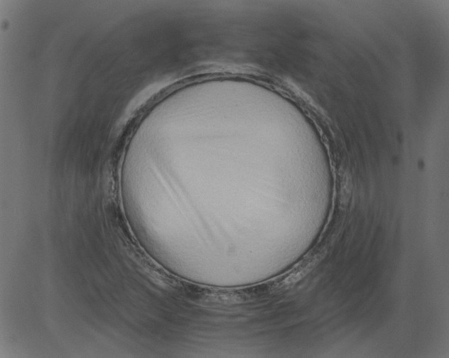 X0000081391215200702020247