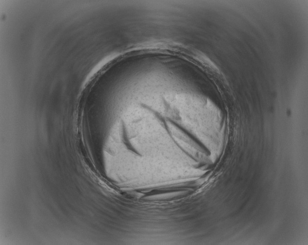 X0000081391216200702020247