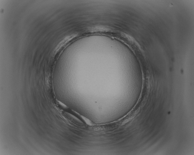 X0000081391217200702020247