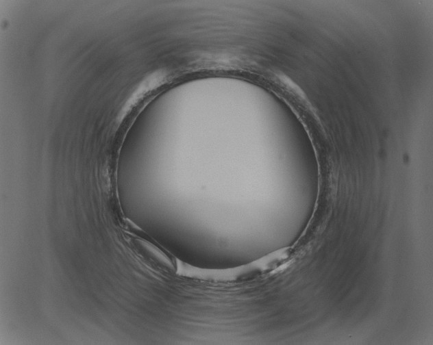 X0000081391218200702020247