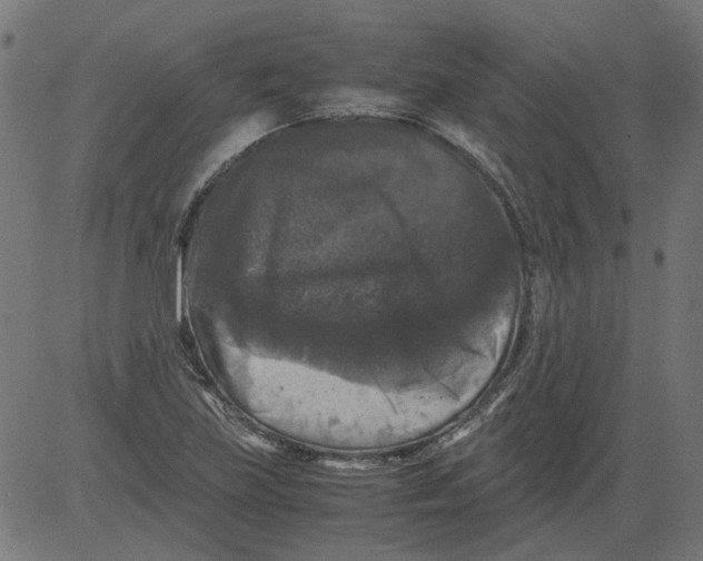 X0000081391219200702020247