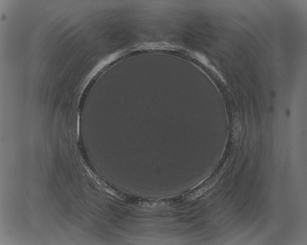 X0000081391221200702020247