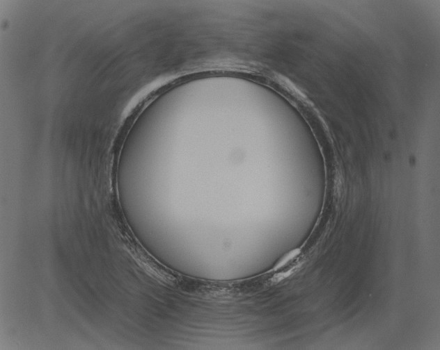 X0000081391222200702020247