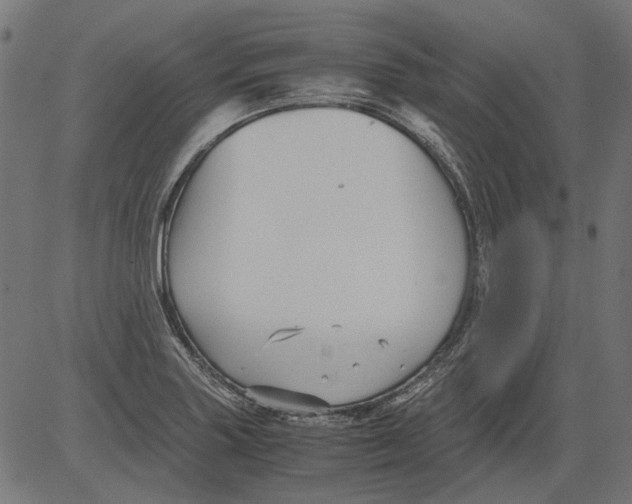 X0000081391227200702020247