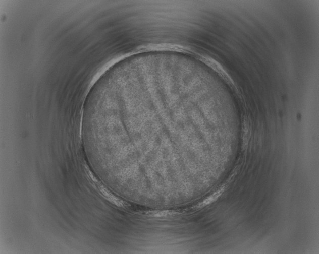 X0000081391228200702020247