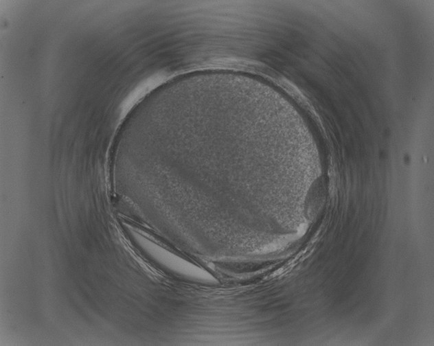 X0000081391230200702020247