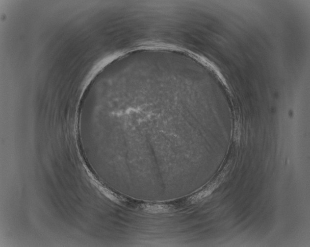 X0000081391231200702020247