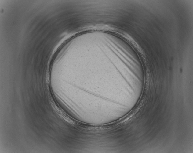 X0000081391232200702020247