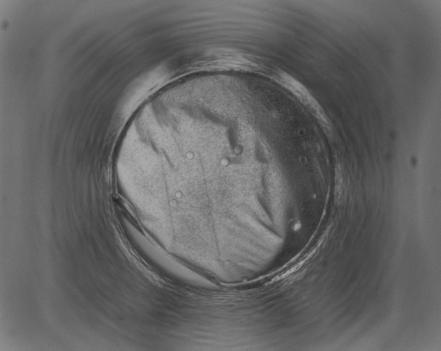 X0000081391234200702020247