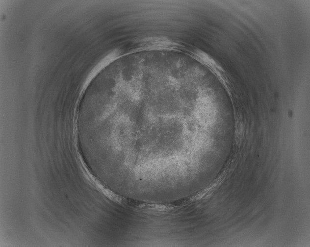 X0000081391235200702020247