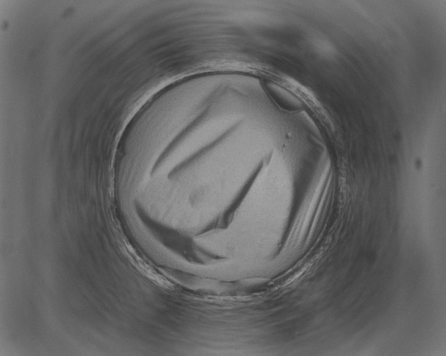 X0000081391236200702020247