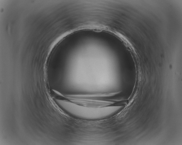 X0000081391238200702020247