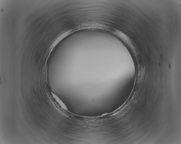 X0000081391242200702020247