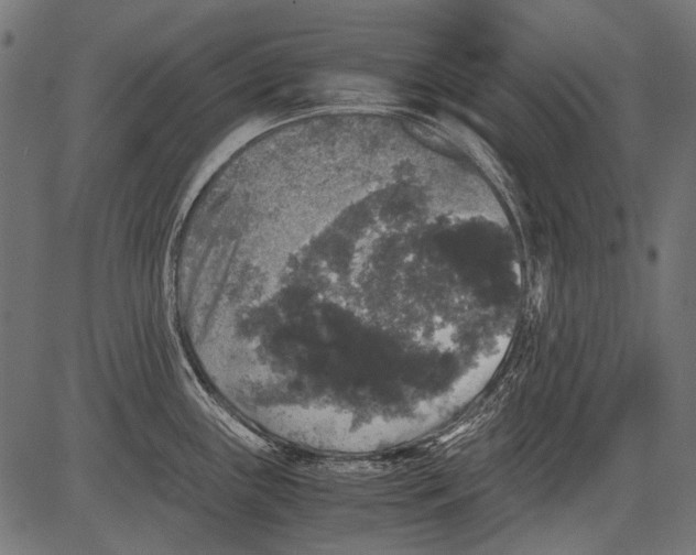 X0000081391243200702020247