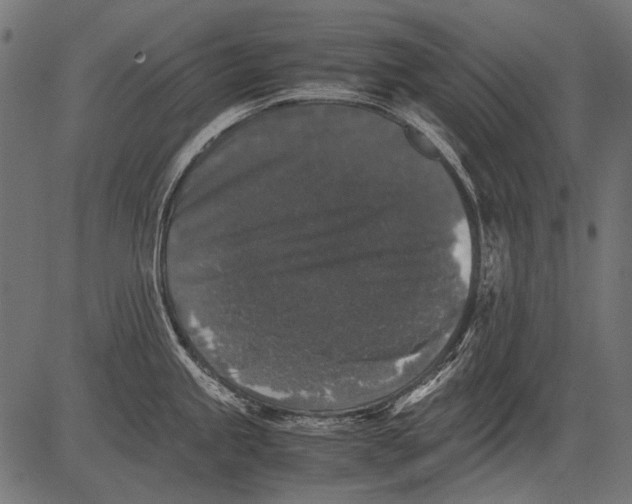 X0000081391245200702020247