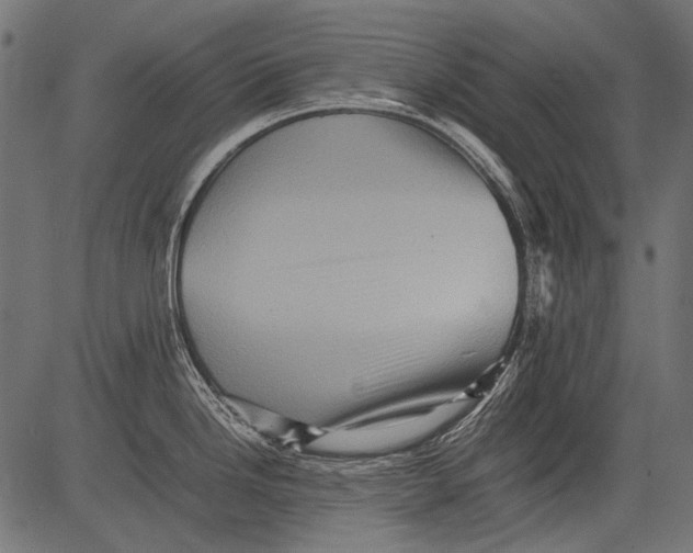 X0000081391246200702020247