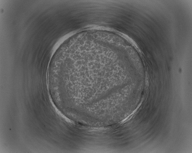 X0000081391247200702020247