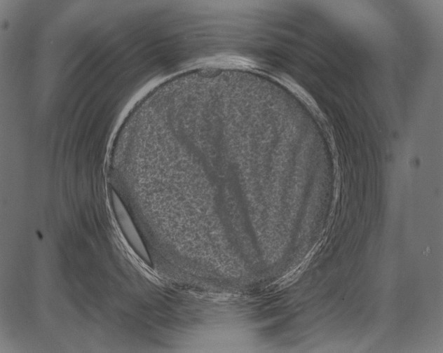 X0000081391248200702020247